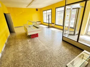 Prodej obchodního prostoru, Dubčany, 167 m2