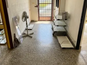 Prodej obchodního prostoru, Dubčany, 167 m2