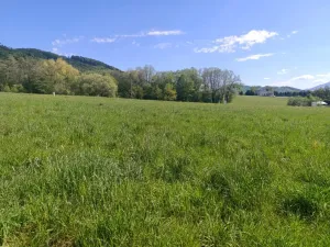 Prodej pozemku pro bydlení, Lichnov, 1480 m2
