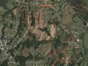 Dražba lesa, Dětmarovice, 2629 m2