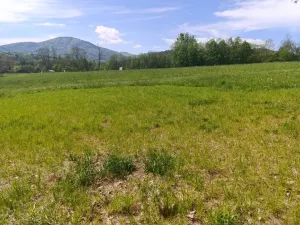 Prodej pozemku pro bydlení, Lichnov, 2292 m2