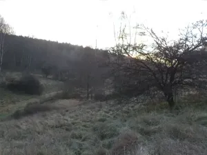 Dražba louky, Blíževedly, 2887 m2