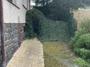 Pronájem bytu 2+1, Ledenice, 80 m2