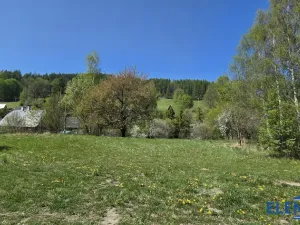 Prodej pozemku pro bydlení, Spálené, 2148 m2
