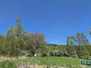 Prodej pozemku pro bydlení, Spálené, 2148 m2