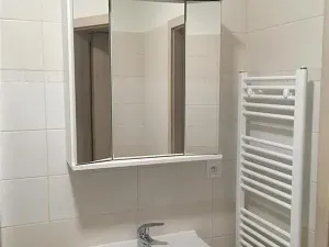 Pronájem bytu 1+kk, Olomouc, Janského, 28 m2
