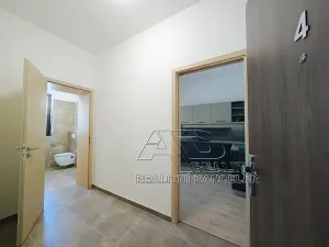 Pronájem bytu 1+1, České Budějovice, Fráni Šrámka, 40 m2