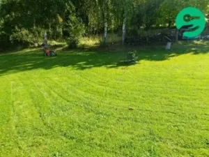 Prodej zahrady, Děčín, 1032 m2