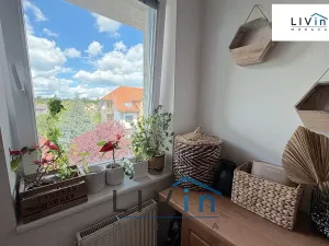 Pronájem bytu 2+1, Olomouc, Horní lán, 78 m2