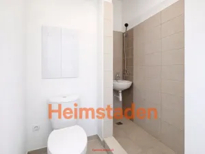 Pronájem bytu 1+kk, Karviná - Nové Město, Nedbalova, 21 m2