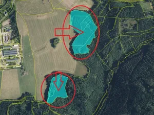 Prodej podílu lesa, Maletín, 10553 m2