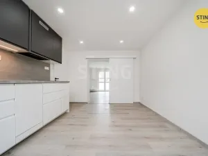 Prodej bytu 1+1, Ostrava, Alejnikovova, 38 m2