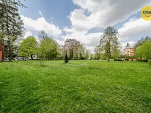 Prodej bytu 1+1, Ostrava, Alejnikovova, 38 m2