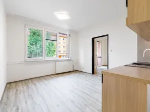 Pronájem bytu 2+kk, České Budějovice, Puklicova, 39 m2