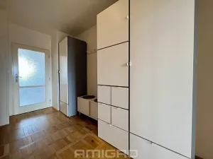 Prodej bytu 1+1, Brno, Merhautova, 48 m2