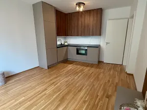 Pronájem bytu 2+kk, Praha - Smíchov, U Blaženky, 55 m2