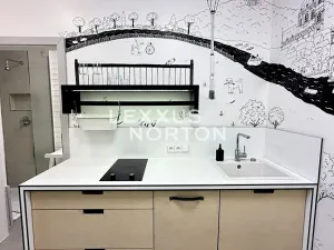 Prodej bytu 1+1, Praha - Vršovice, Kodaňská, 56 m2