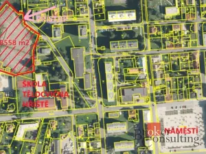 Prodej pozemku pro bydlení, Nové Město pod Smrkem, Smetanova, 8920 m2