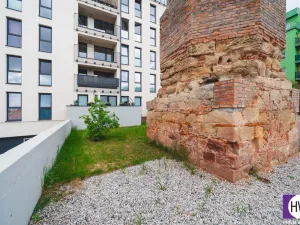 Prodej bytu 2+kk, Plzeň, Goldscheiderova, 56 m2