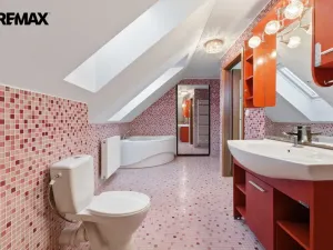 Pronájem rodinného domu, Jenišov - Pod Rohem, K Rohu, 210 m2