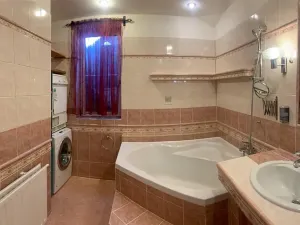 Pronájem bytu 2+1, Liberec, Dělnická, 100 m2