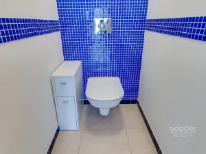 Pronájem bytu 3+kk, Praha - Záběhlice, Harlacherova, 165 m2