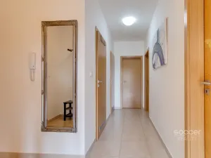 Pronájem bytu 3+kk, Praha - Záběhlice, Harlacherova, 165 m2