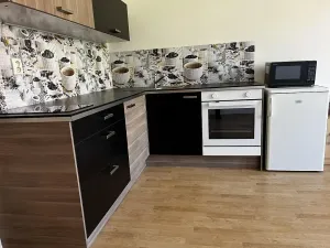 Pronájem bytu 1+kk, Praha - Nusle, Doudlebská, 29 m2