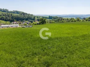 Prodej pozemku pro bydlení, Fryšták - Vítová, 2425 m2