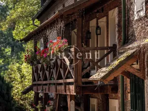 Prodej komerční nemovitosti, Stříbrná Skalice, 1700 m2