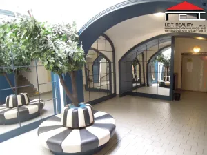 Pronájem bytu 1+kk, Opava, Sněmovní, 45 m2