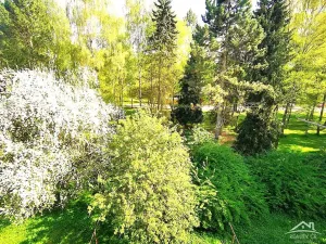 Pronájem bytu 1+1, Jihlava, Telečská, 33 m2