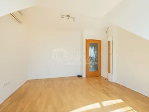 Prodej vícegeneračního domu, Hustopeče, Školní, 229 m2