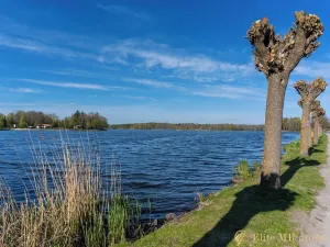 Prodej rodinného domu, Chlum u Třeboně, Třeboňská, 137 m2