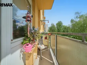 Prodej bytu 1+1, Hradec Králové - Pražské Předměstí, Jungmannova, 41 m2
