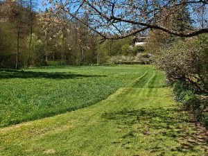 Prodej chaty, Vrcovice, 90 m2