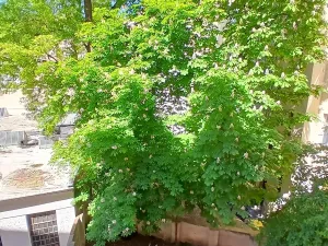 Pronájem bytu 3+kk, Praha - Vinohrady, Slezská, 73 m2