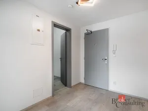 Prodej bytu 2+kk, Brno - Staré Brno, Nové sady, 80 m2