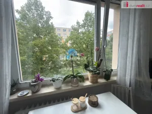 Pronájem bytu 2+1, Ústí nad Labem - Ústí nad Labem-centrum, Mošnova, 62 m2