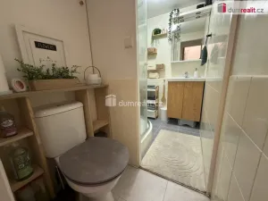 Pronájem bytu 2+1, Ústí nad Labem - Ústí nad Labem-centrum, Mošnova, 62 m2