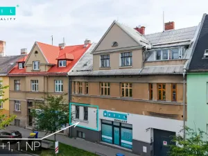 Pronájem bytu 1+1, Olomouc - Nové Sady, Rooseveltova, 65 m2