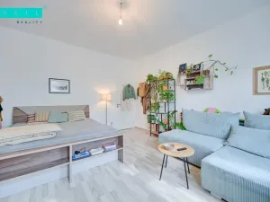 Pronájem bytu 1+1, Olomouc - Nové Sady, Rooseveltova, 65 m2