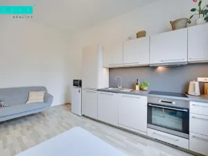 Pronájem bytu 1+1, Olomouc - Nové Sady, Rooseveltova, 65 m2