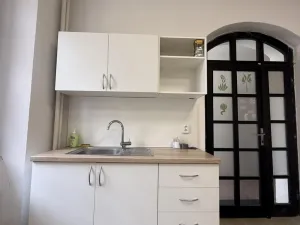 Pronájem obchodního prostoru, Pardubice - Bílé Předměstí, Štrossova, 72 m2