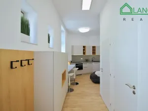 Pronájem bytu 2+1, Brno, Koliště, 53 m2