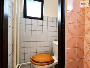 Prodej chaty, Borotice - Hubenov, 50 m2