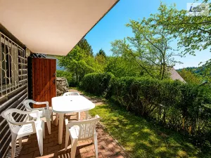Prodej chaty, Borotice - Hubenov, 50 m2