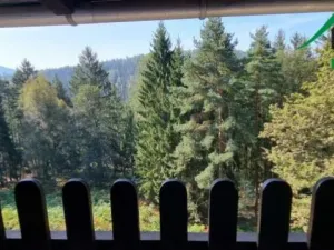 Prodej ubytování, Hřensko - Mezná, Mezná, 400 m2