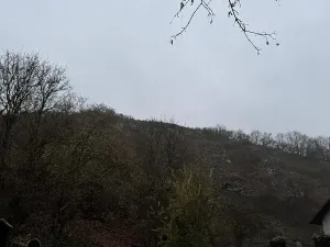 Prodej podílu lesa, Praha, 4596 m2