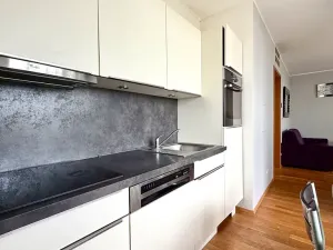 Pronájem bytu 1+kk, Praha, Malešická, 44 m2